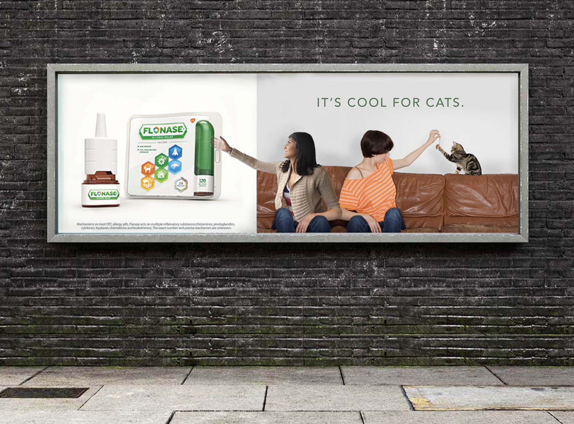 4_ITS_COOL_FOR_CATS_FINAL